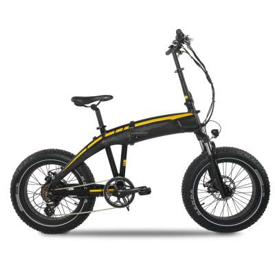 20 Inch big fat tyres 21speeds 750W off road moutain outdoor sport women child kids wild Folding foldable Electric Bike bicycles