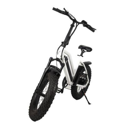 20 inch variable speed brushless dc motor 36V 350W powerful 45km/h electric bike folding electric bicycle white electric bikes