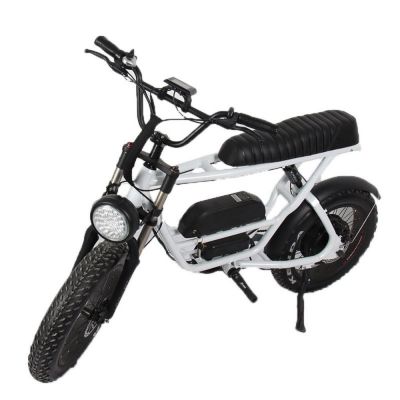 20 Inch electric bike 36v fat tire electric mountain bike customized electric motorcycl bicycle white black Individual bikes