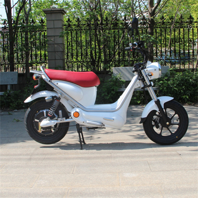 1000W 48V 60V 72V 10inch tyres big wheel new design swapping station removable lithium battery electric scooter bikes moped