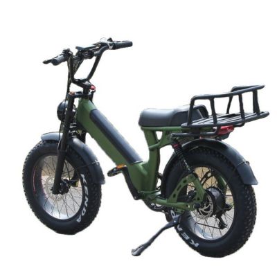 20 inch fat tyres 750W 48V/14AH 27 speeds mountain off-road camping beach electric bicycle bike motocross motorcycle motorbike